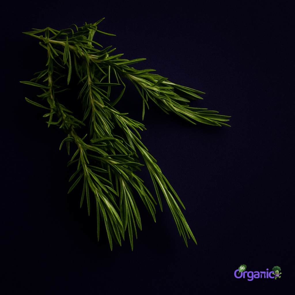 herbs-rosemary-50g.jpg