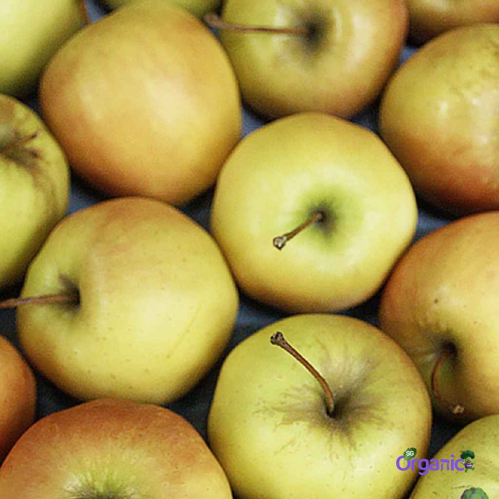 Apple-golden_11zon.jpg