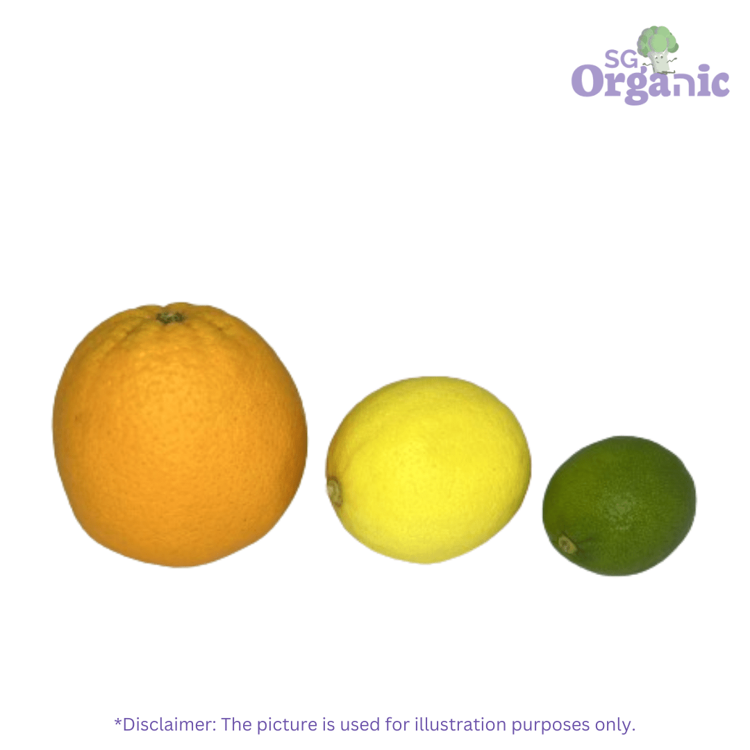 Citrus-Rainbow.png