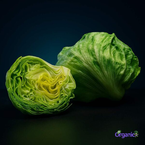 Organic Lettuce – Iceberg (350g) Australia