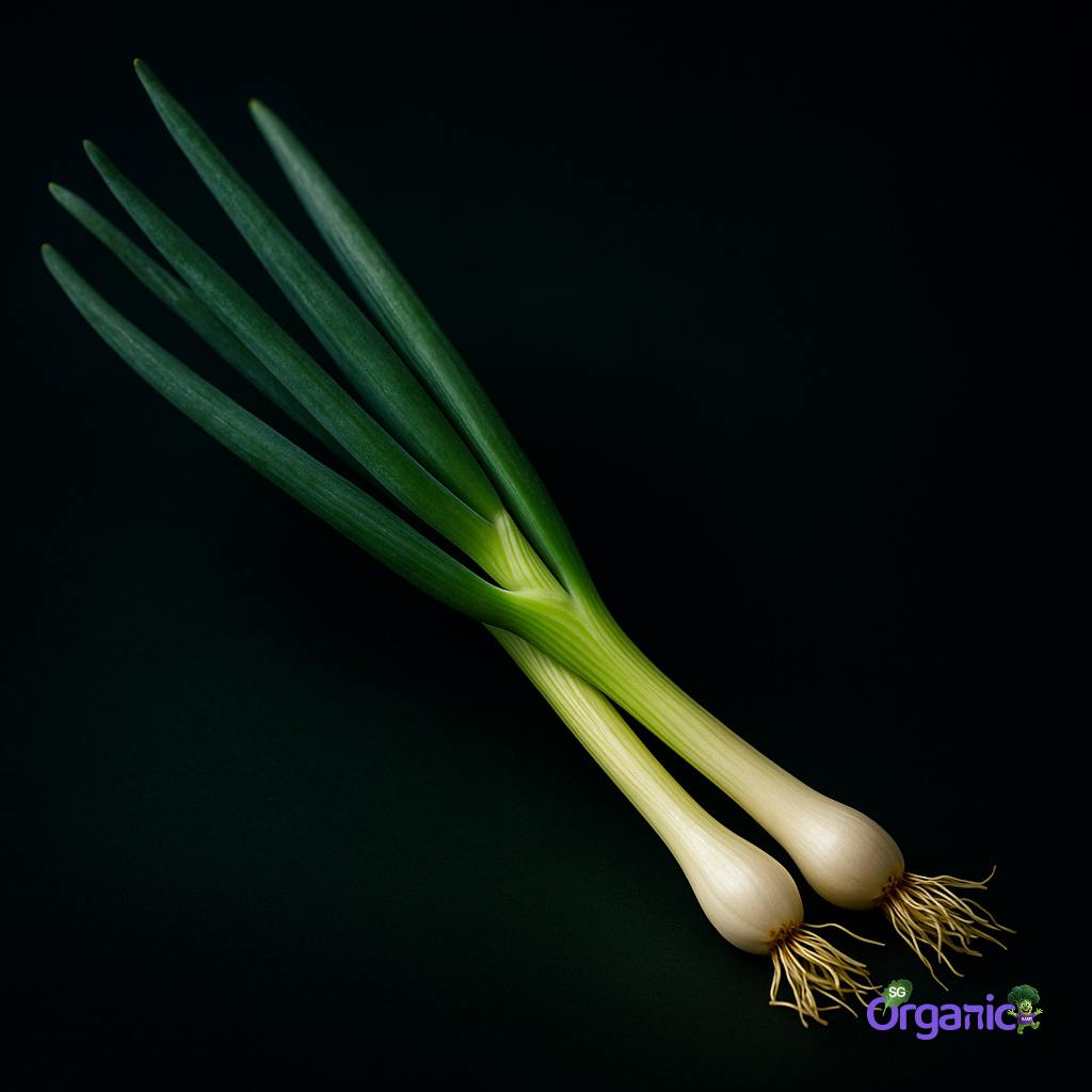 Organic-Spring-Onions-100g-Australia_23_n.jpg