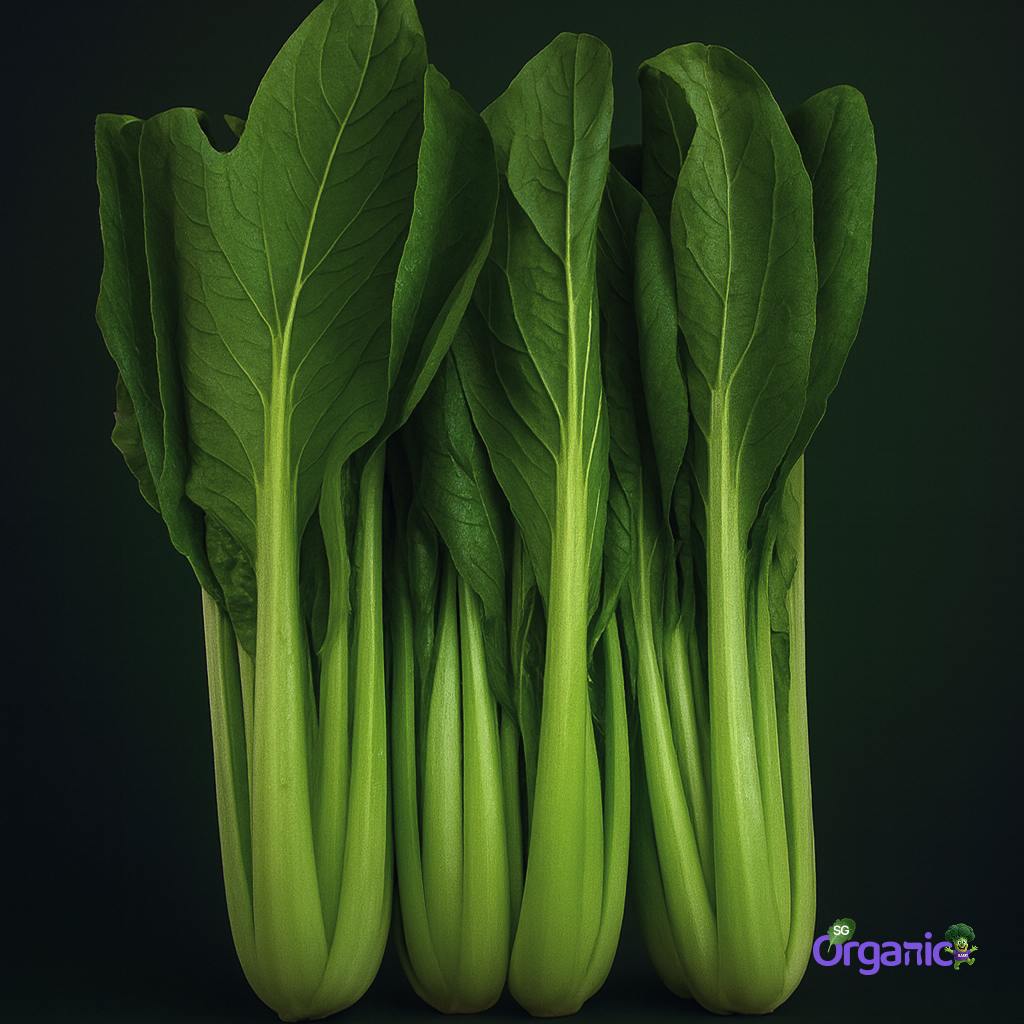 asian-greens-choy-sum-1-stem_.jpg