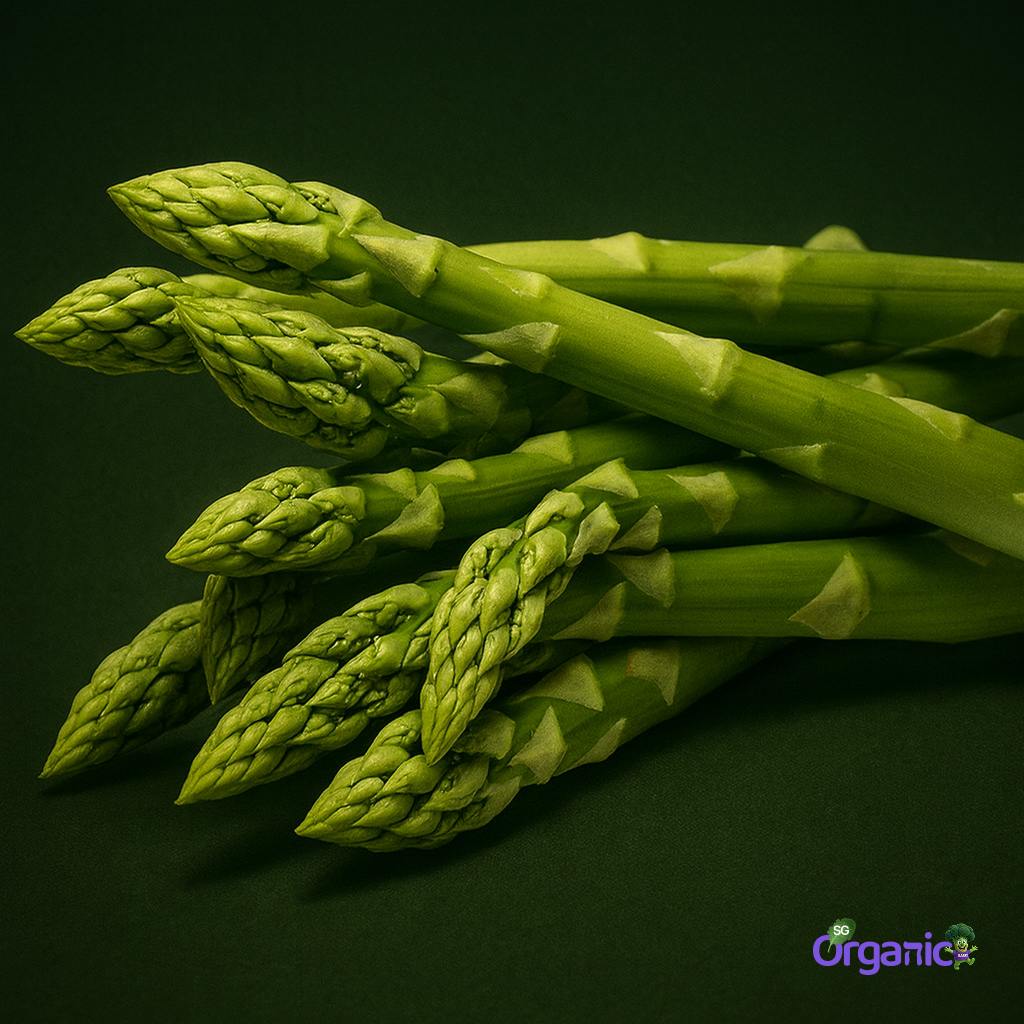 asparagus-bunch_2_.jpg