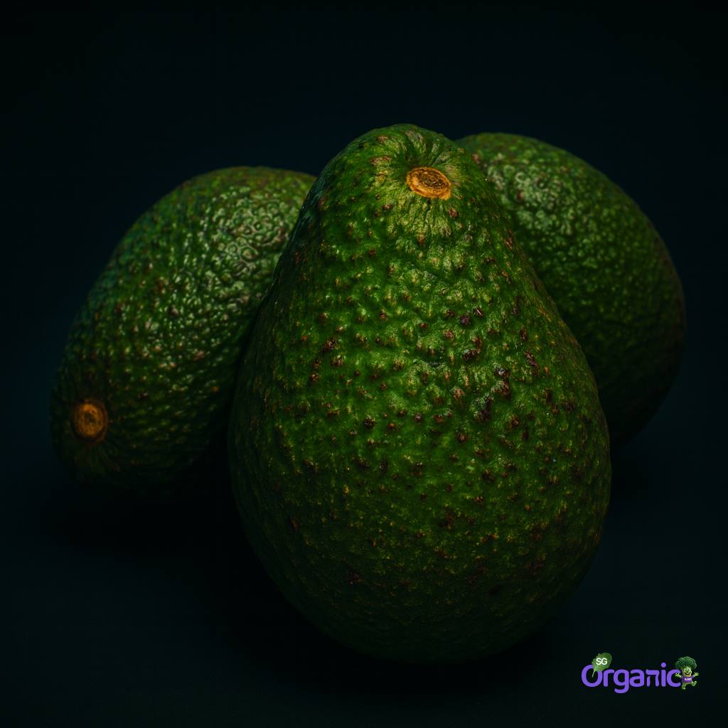 avocado-hass-each_21_.jpg
