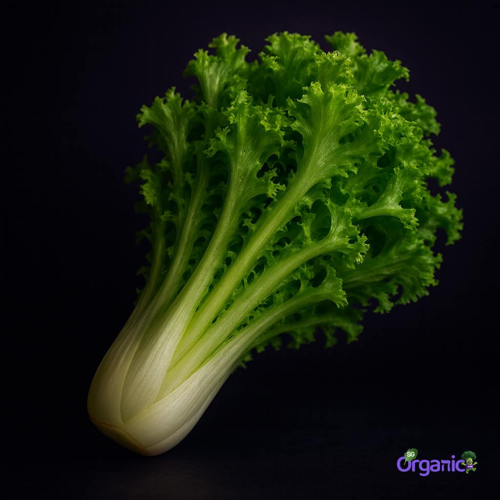 baby-endive-each-3_3_n.jpg