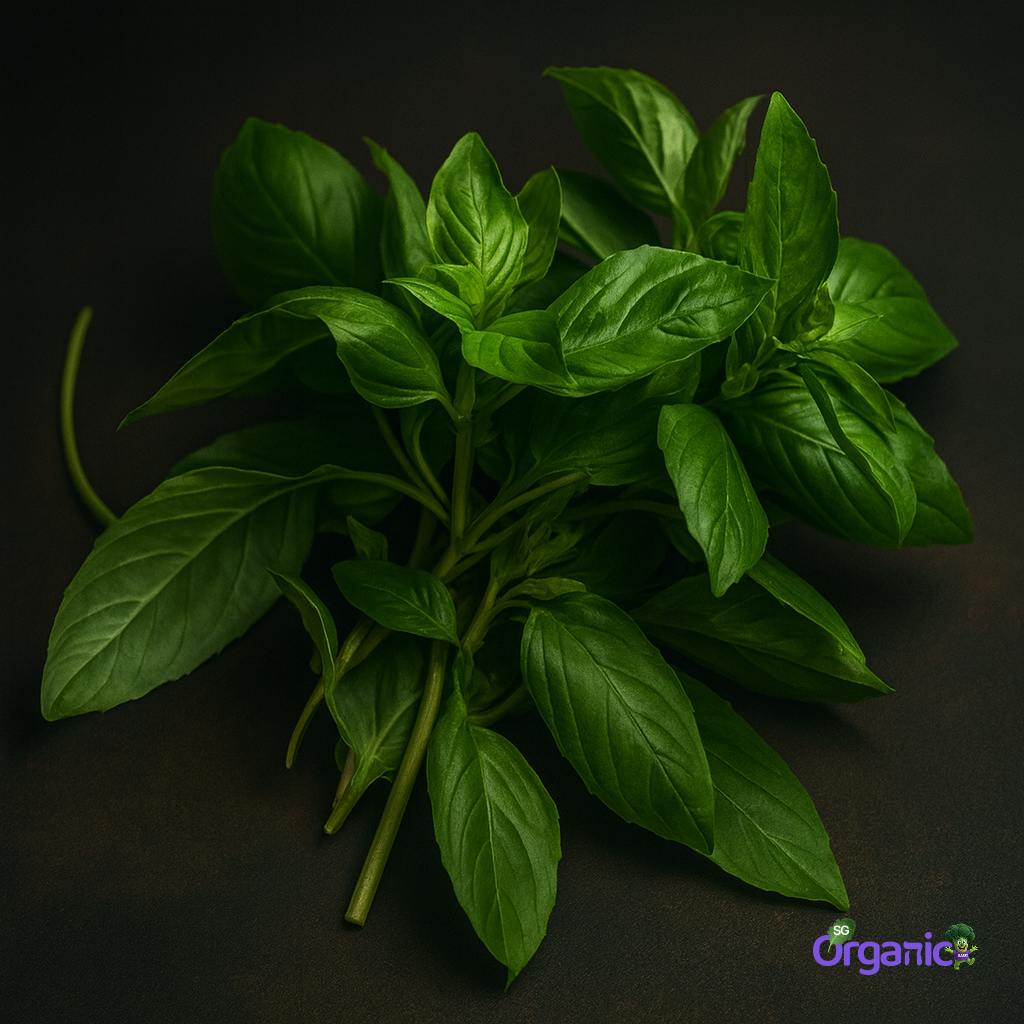 basil-25g_4_1.jpg