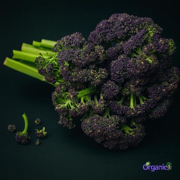 Organic Broccoli – Baby (bunch) Australia