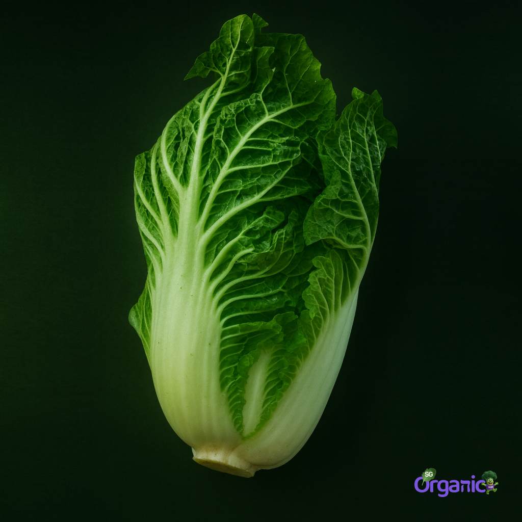 cabbage-wombok-500g_n.jpg