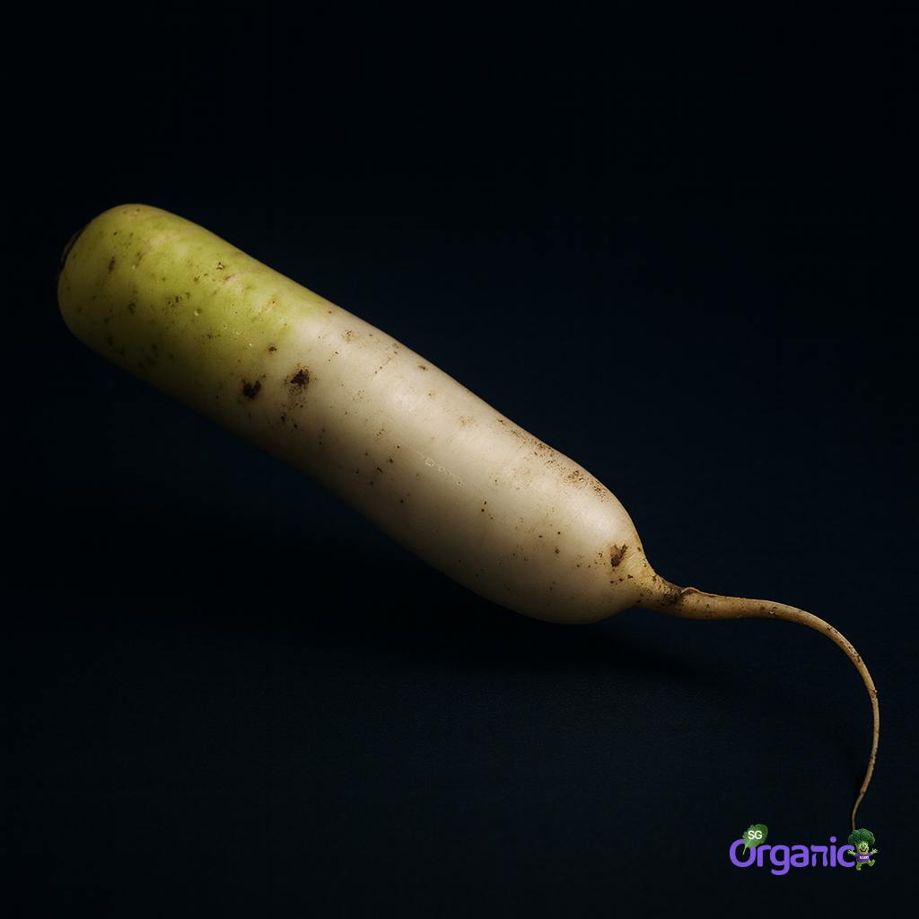 daikon-250g_11_on.jpg
