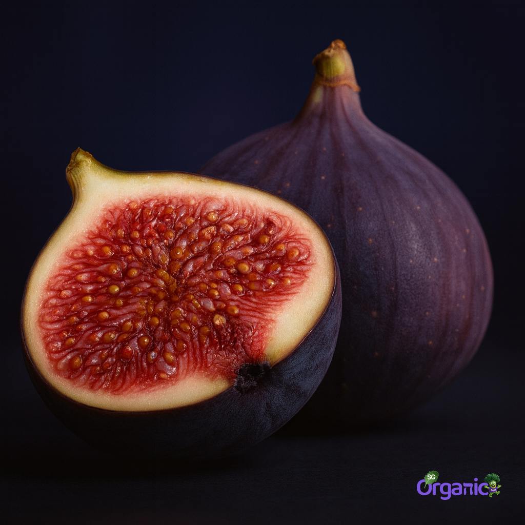 figs-100g_14_11zon.jpg
