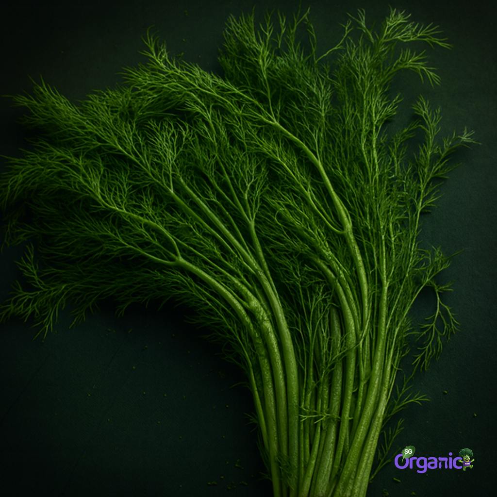 herb-dill-25g_.jpg