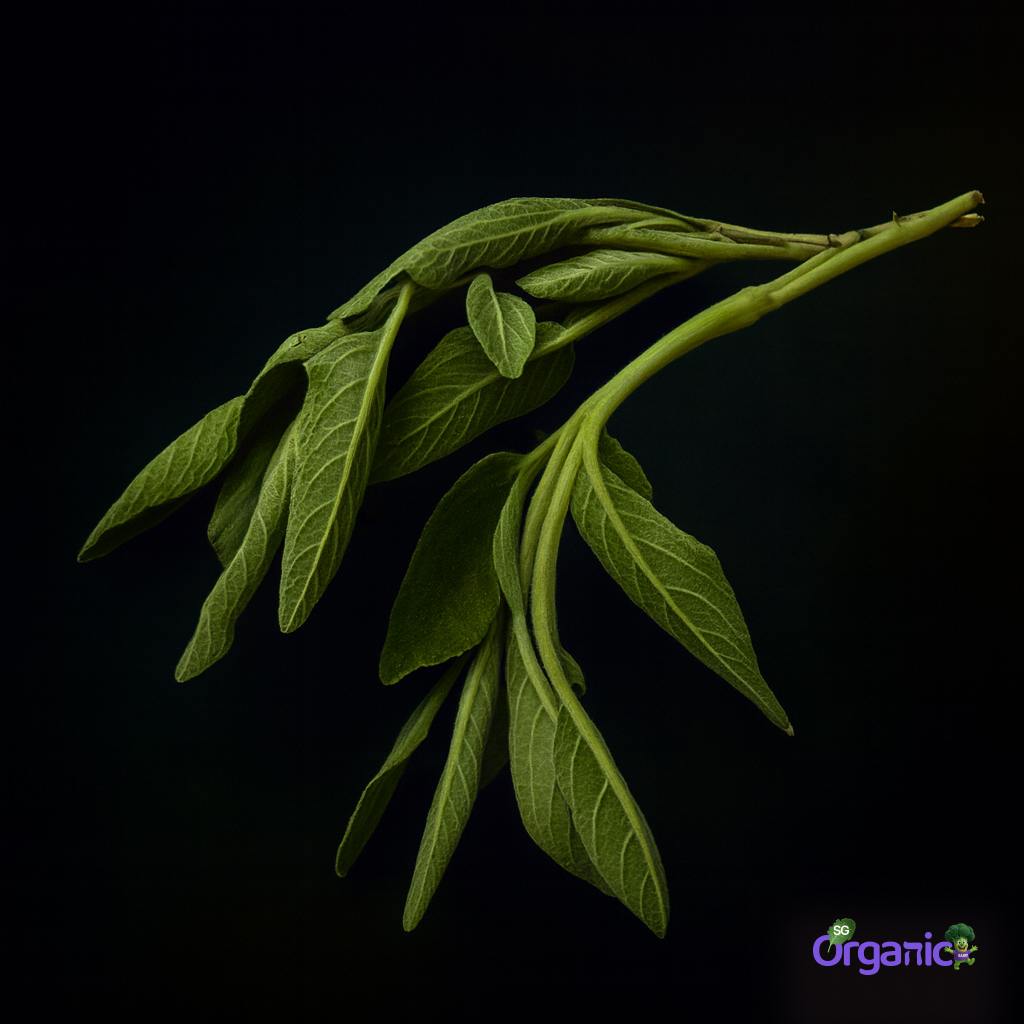 herb-sage-25g.jpg
