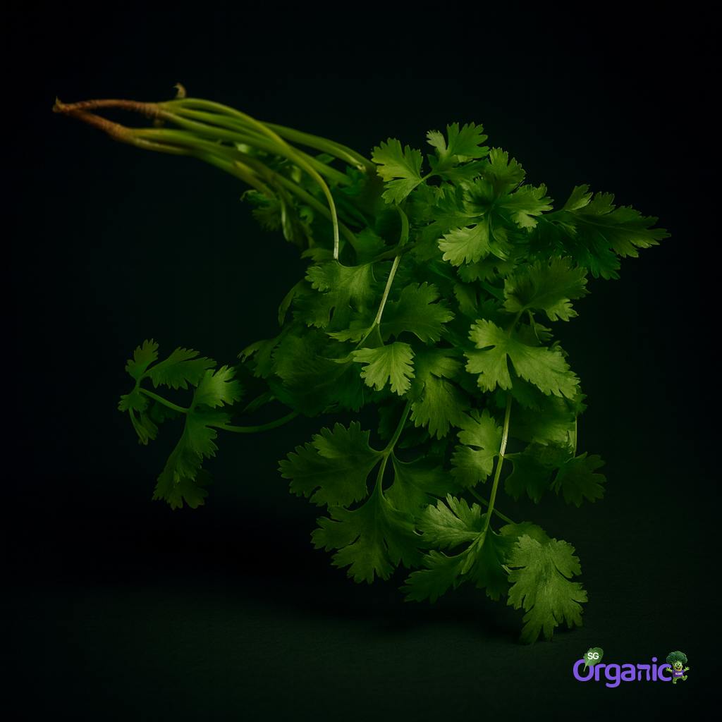 herbs-coriander-50g.jpg