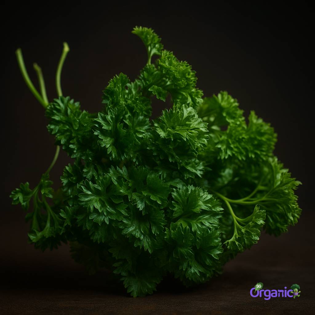 herbs-parsley-curly-_11zon.jpg