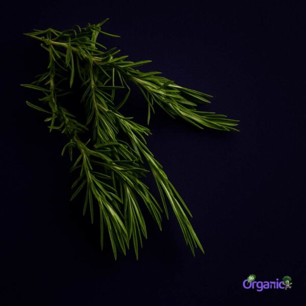 Organic Herbs – Rosemary (25g) Australia