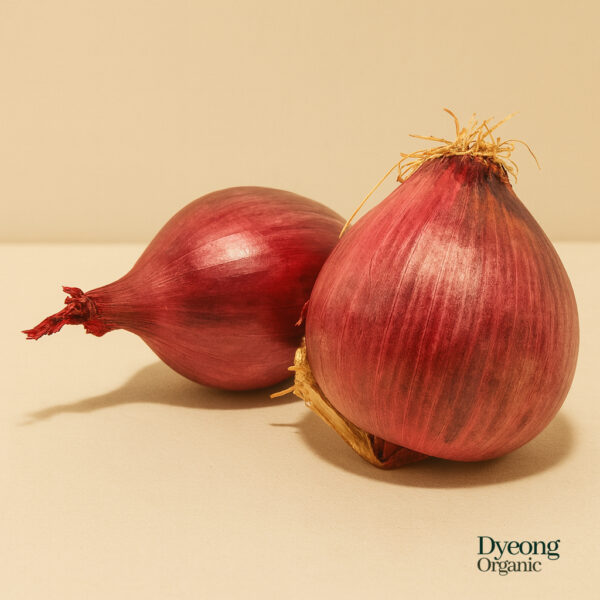 Organic Onions – Red (250g) Australia