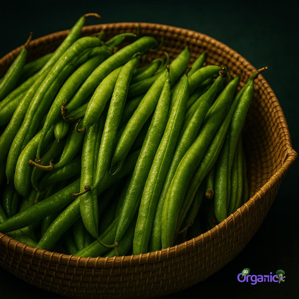 organic-beans-round-250g-australia_n.jpg