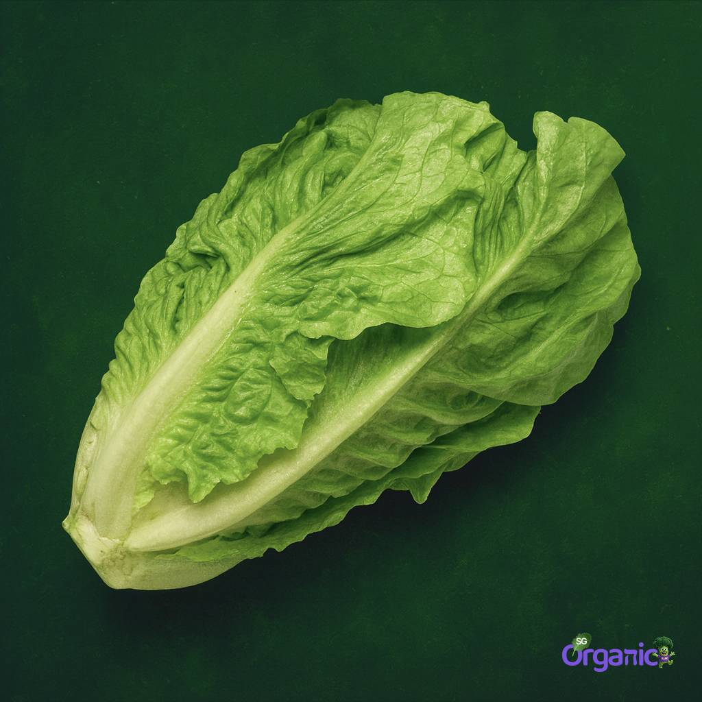 organic-lettuce-romaine-500g.jpg