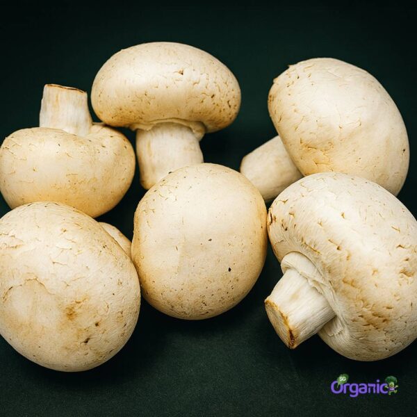 Organic Mushroom – White Button (100g) Australia