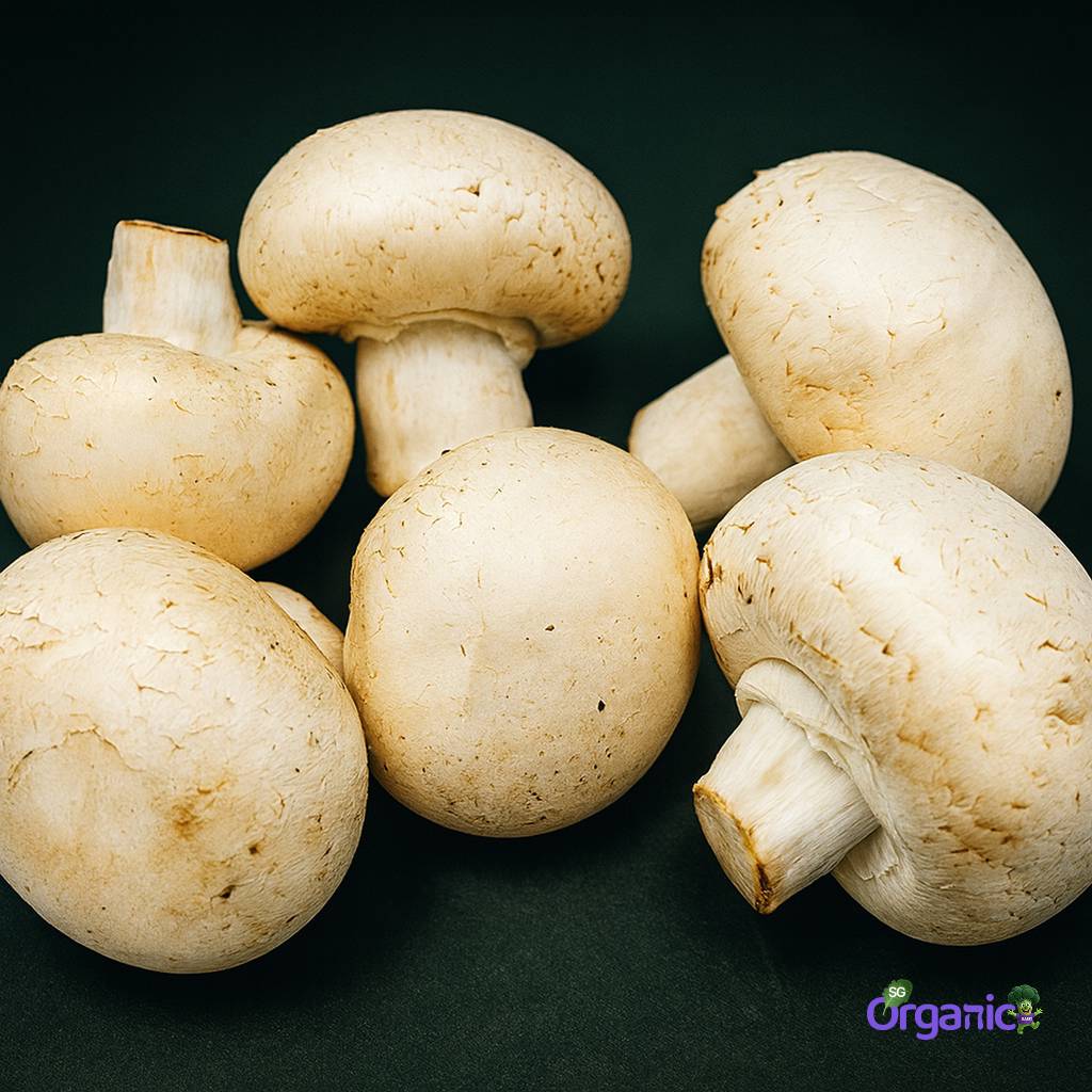 organic-mushroom-white-button-100.jpg