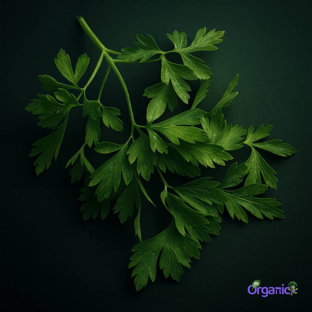 parsley-flat-50g_21_.jpg