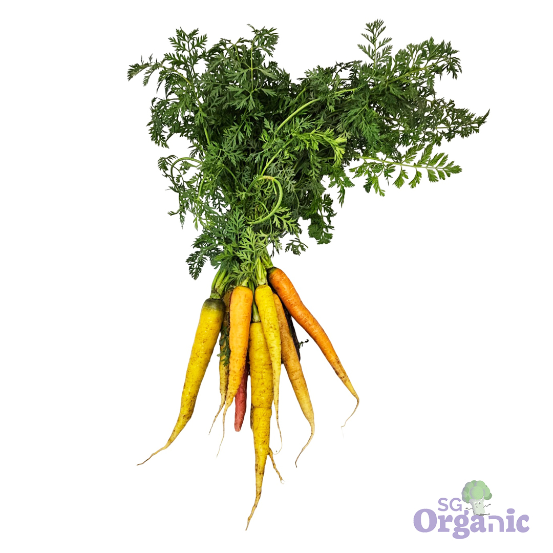 rainbow-carrot-1080.jpg