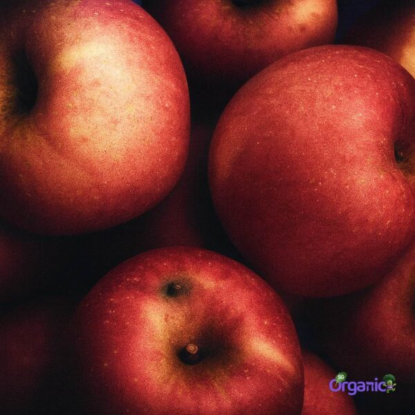 Organic Apple Juicing – Red (1kg) Australia