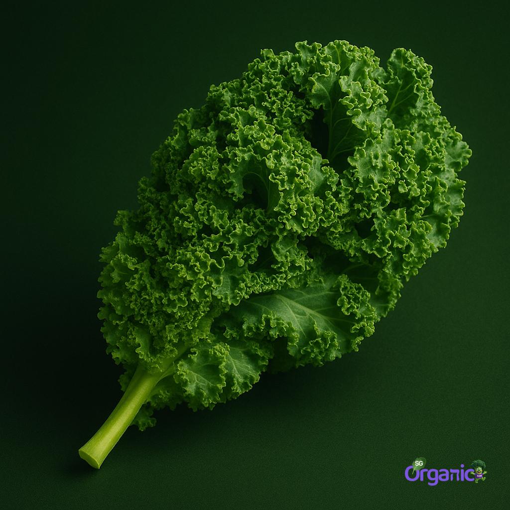 salad-kale-leaves-100g_11zon.jpg