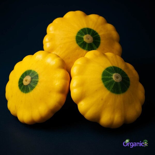 Organic Squash – Summer (100g) Australia